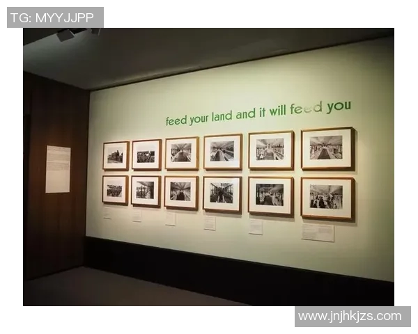 西安篮球队的崛起与挑战全景揭秘篮球巨献的背后故事 西安篮球队的崛起与挑战全景揭秘篮球巨献的背后故事